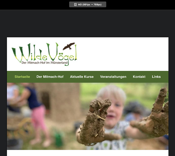 Screenshot 2021-01-04 at 14.48.27