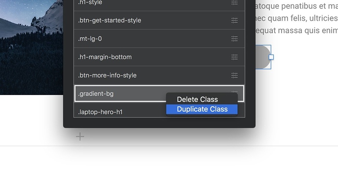 duplicate-custom-classes