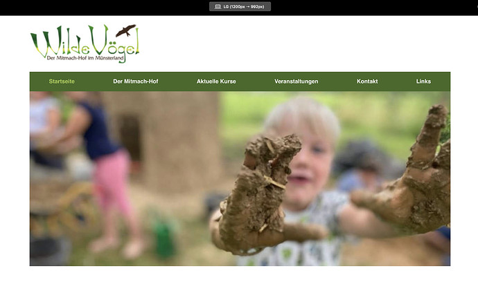 Screenshot 2021-01-04 at 14.48.08