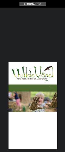 Screenshot 2021-01-04 at 14.48.56