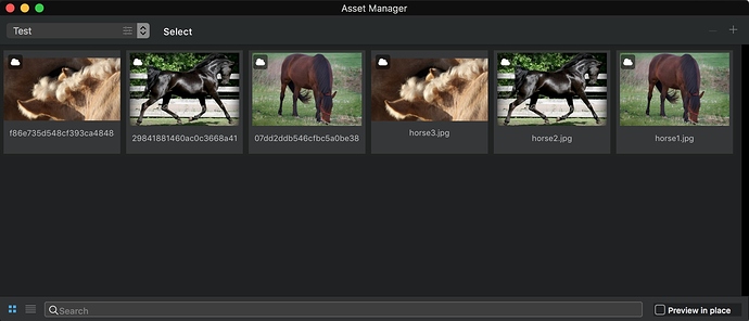 Asset-Manager-with-horses