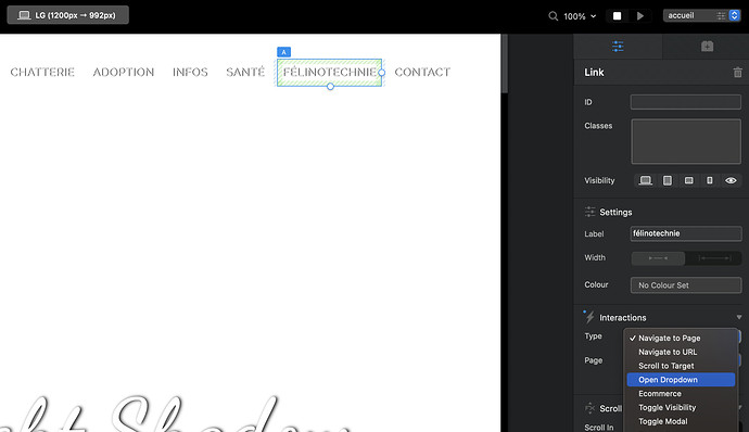 Screenshot 2021-06-15 at 14.49.48