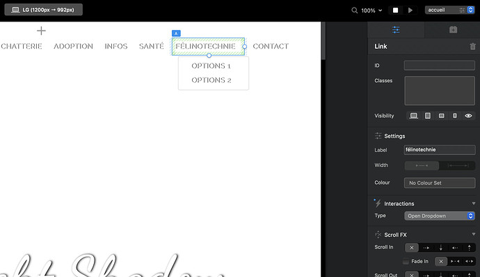 Screenshot 2021-06-15 at 14.49.57