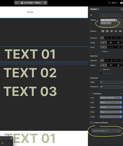 05 Text1 data-scroll attributes