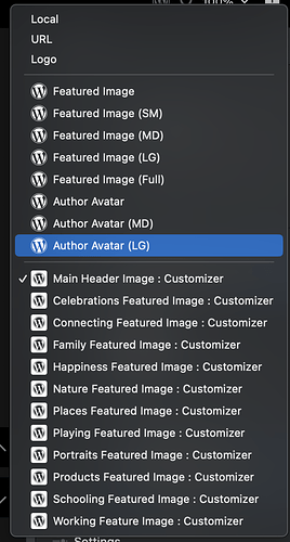 Screenshot 2024-11-03 at 4.08.55 PM