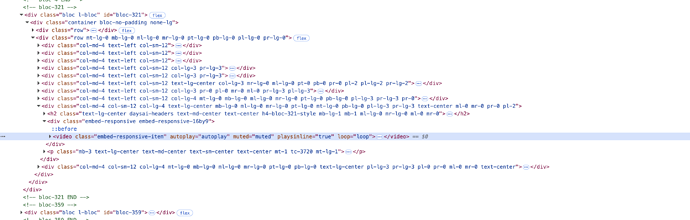 code doesnt seem to show video name